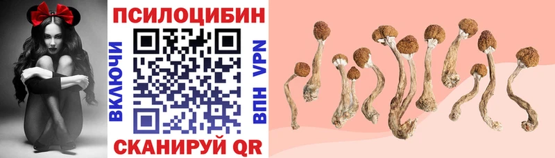 Галлюциногенные грибы Psilocybine cubensis  Купить  Якутск 